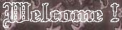 Welcome